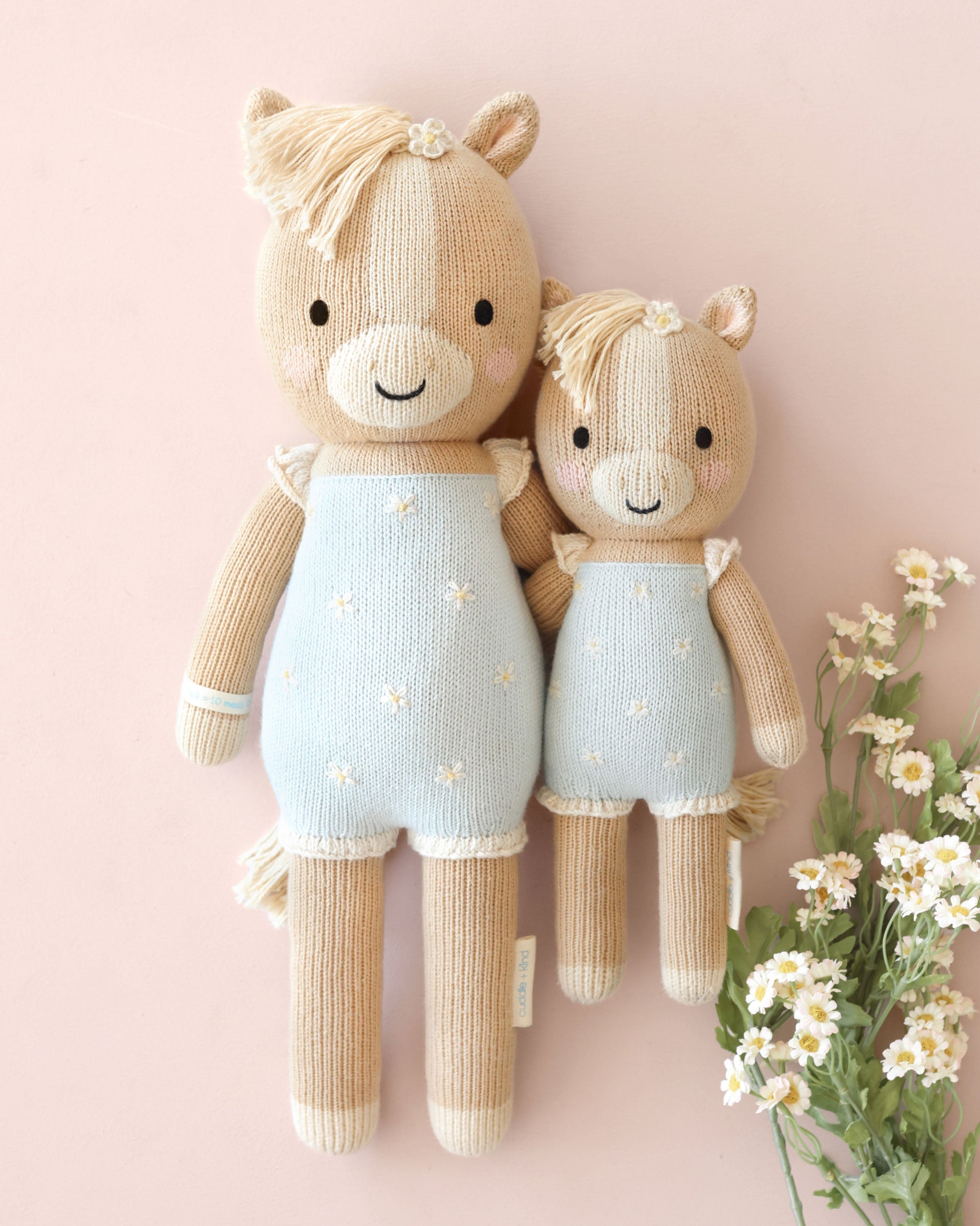 Sophia the pony (bluebell)